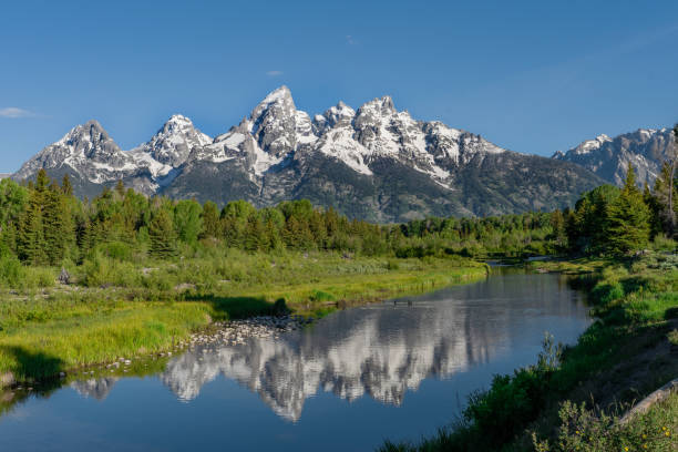 istock Summer At Grand Teton National Park 1255121054