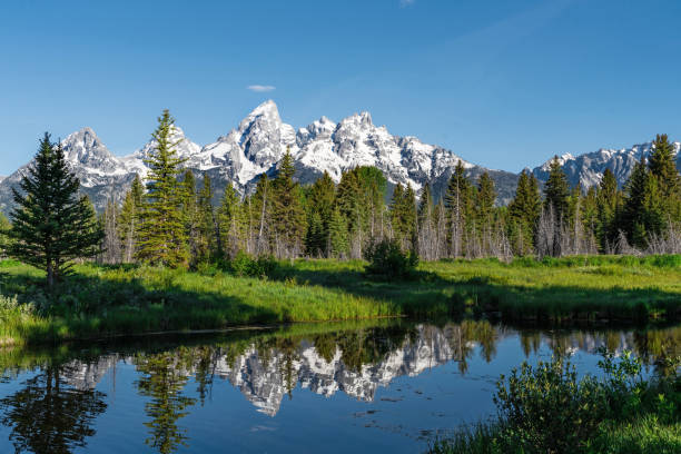 istock Summer At Grand Teton National Park 1255121864