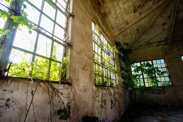 istock Abandoned Old Ruined Industrial Plant 1255122841
