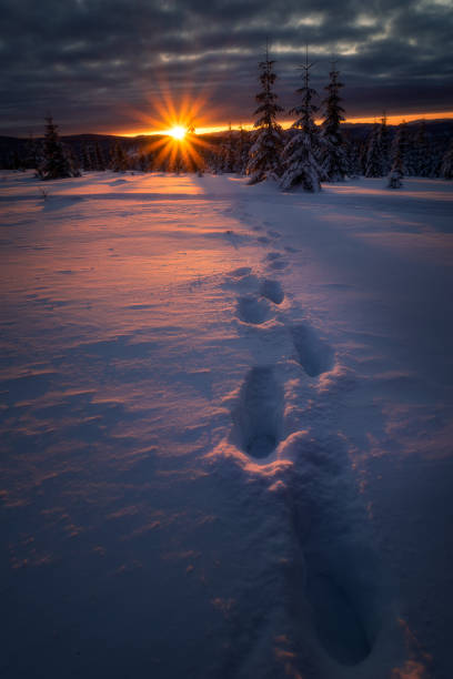 Beautiful sunset during winter with footstepts in the foreground going towards the setting sun near Marisel, Cluj County, Transylvania Region, Romania