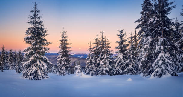 Panorama shot with a moon set in the morning before sunrise in the mountains on a cold winter morning in Marisel, Cluj County, Transylvania Region, Romania stock photo