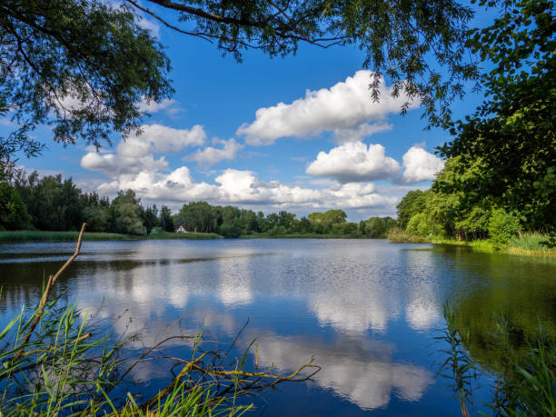 istock typical Mecklenburg landscape with a lake, blue sky and white clouds 1255125765