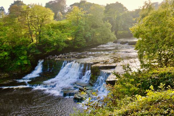 aysgarth falls - mineral waterfall water flowing imagens e fotografias de stock