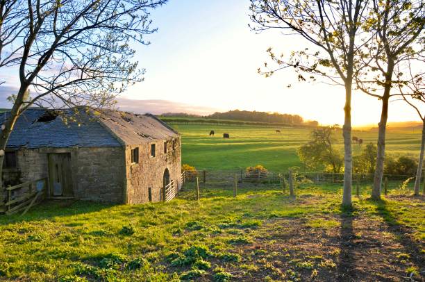 istock Northumberland sunset 1255126958