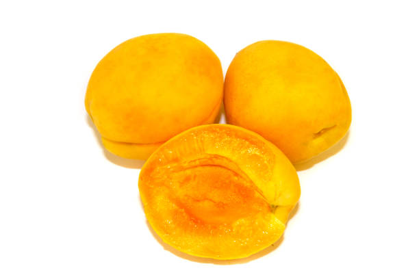 istock isolated on white background apricots close-up 1255134443