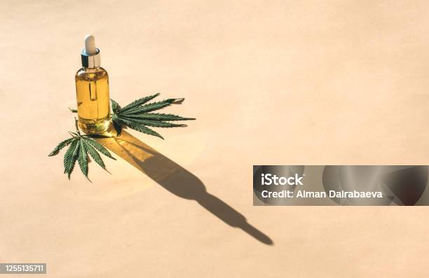 Glass Bottle And Dropper Cbd Oil Thc Tincture And Cannabis Leafs On Pastel Background Laboratory Production Of Cosmetics With Cbd Oil Stock Photo - Download Image Now