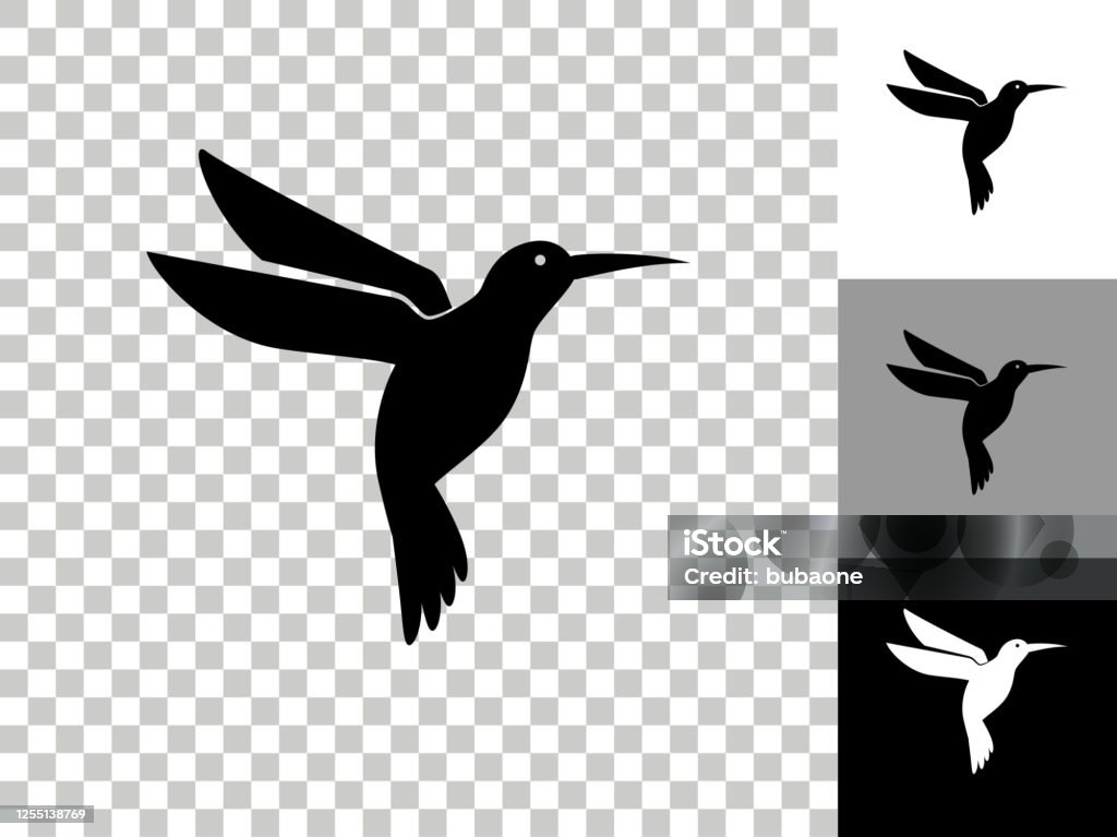 Hummingbird Icon On Checkerboard Transparent Background Stock Illustration  - Download Image Now - iStock