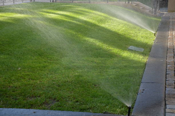 istock watering lawn automatic irrigation with pull-out sprinklers fresh green color black plastic nozzles extend and rotate in a circular rotation water granite cobblestone tiles and curb 1255138852