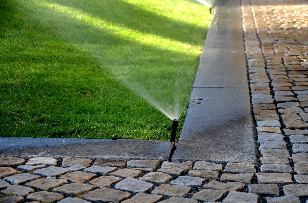 istock watering lawn automatic irrigation with pull-out sprinklers fresh green color black plastic nozzles extend and rotate in a circular rotation water granite cobblestone tiles and curb 1255138862