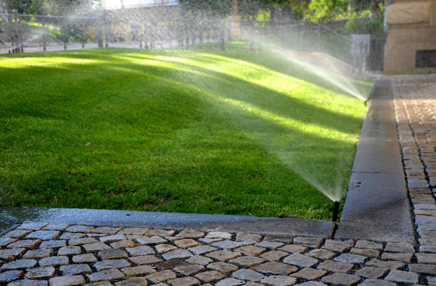istock watering lawn automatic irrigation with pull-out sprinklers fresh green color black plastic nozzles extend and rotate in a circular rotation water granite cobblestone tiles and curb 1255138871