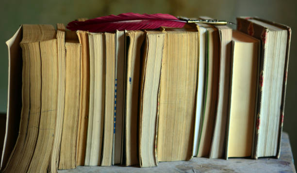 istock a row of old books with a red pen 1255141176