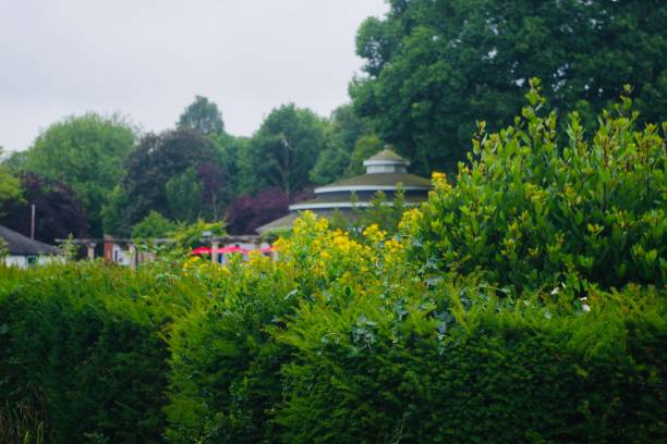 istock British park in the summer 1255141741
