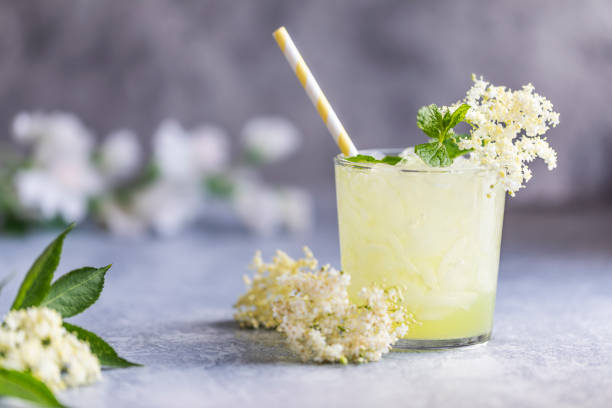 Lemonade with lemon lime and elderberry flowers. Elderberry cordial. Fresh lemonade with lime, lemon and elderberry flowers. Healthy organic homemade refreshing nonalcoholic lemonade mocktail made of elderflower cordial juice. With a paper straw, on gray background. elderberry photos stock pictures, royalty-free photos & images