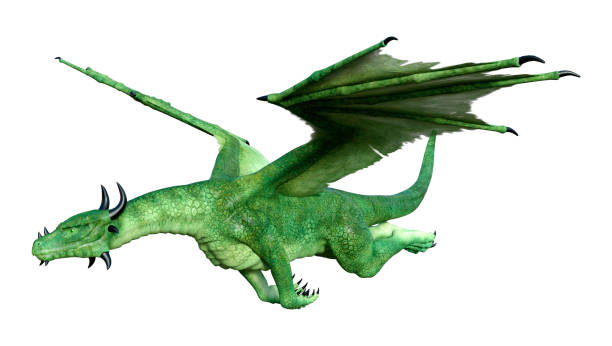 istock 3D illustration fantasy dragon on white 1255142725