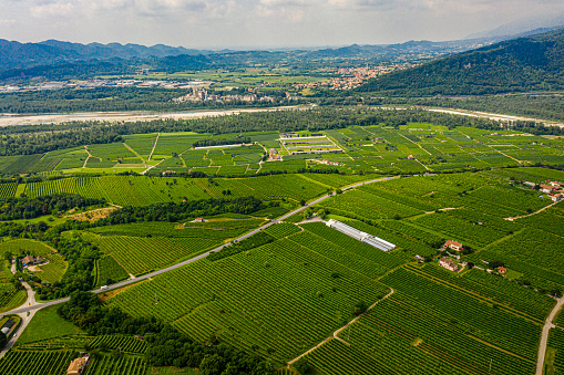 Vineyards  along the Prosecco road in Valdobbiadene Treviso Italy
