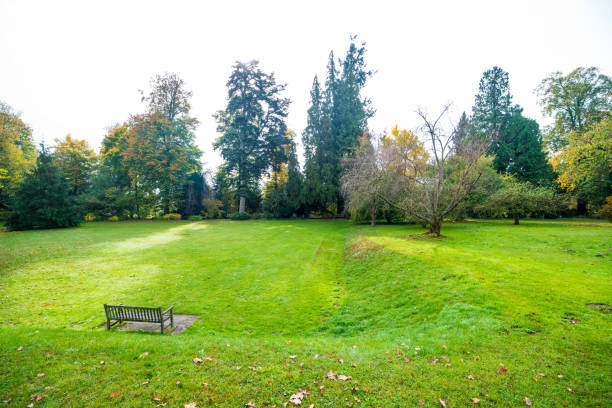 istock Well-kept park with meadow and trees with herbsltaub and an empty bench 1255144841