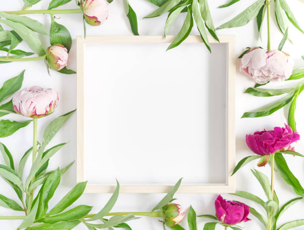 istock An empty wooden picture frame and fresh peonies are on a white background. Flower composition. Flat lay. Top view. Copy space. 1255147240