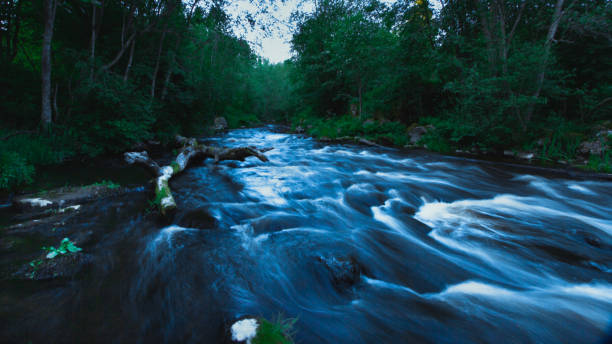 istock Beautiful summer river rapids in North Karelia. 1255150955