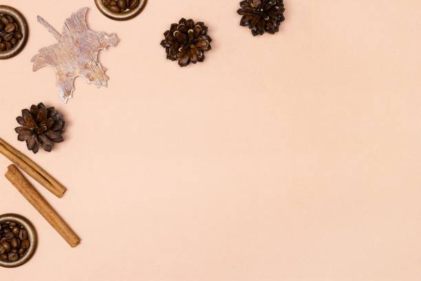 istock Autumn frame minimal background with copy space. Pine cones, cinnamon sticks, coffee beans. Warm cozy fall season concept 1255153464