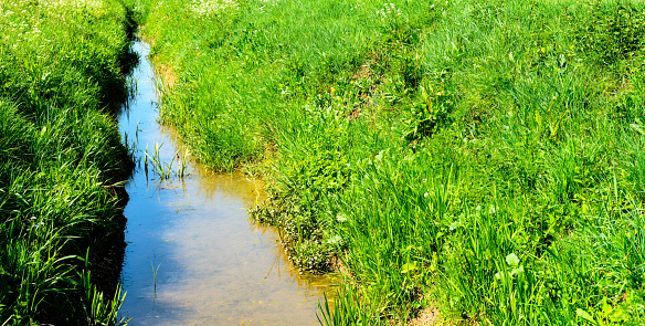 A drainage ditch on a Cambridgeshire farm