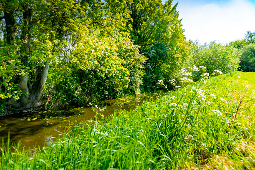 A small tributary to the Great Ouse at Huntingdon near a Cambridgeshire farm.