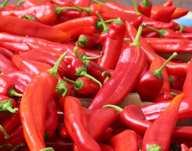istock Large group of red hot peppers 1255154760