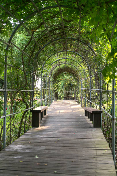istock The walkway in the tunnel in a public park. 1255156603