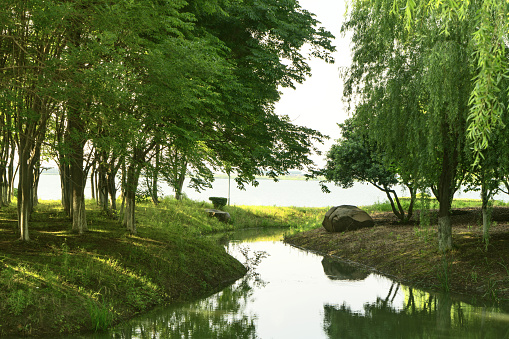 The river and forest in a public park. Photo in Suzhou, China.