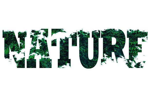 istock Nature word from leaves isolated on white background. Eco-friendly concept. 1255161522