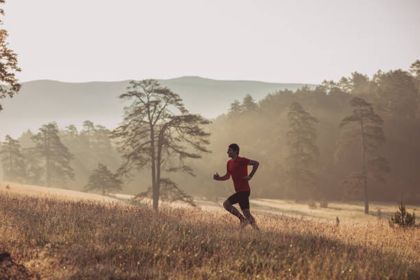 istock Morning jogging in a field 1255164811