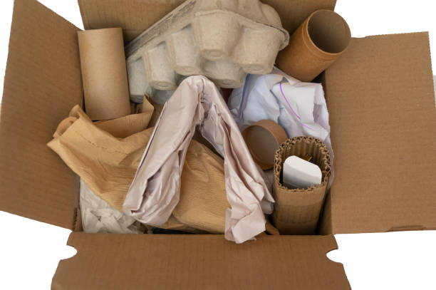 istock Sorting waste home. Cardboard, paper in cardboard box on white background. Ecology, separate garbage collection, the concept of pollution. Eco-friendly single-use packaging, waste recycling concept 1255164824