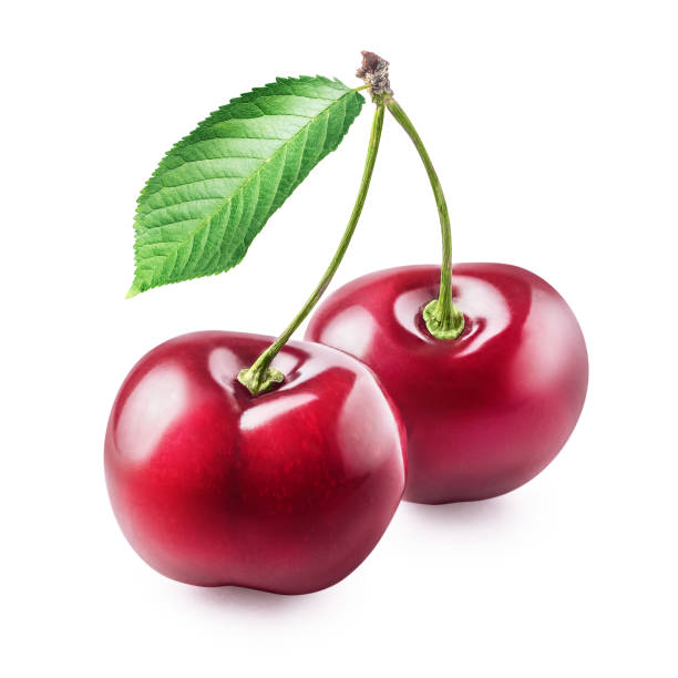 istock Two cherry fruits isolated on white background. 1255169794