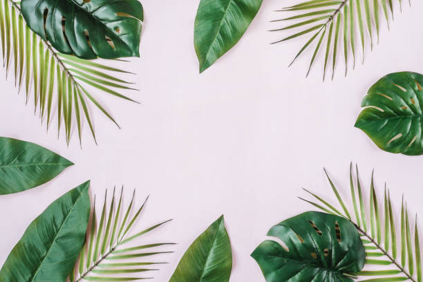 istock Tropical Jungle Leaves Background 1255171626