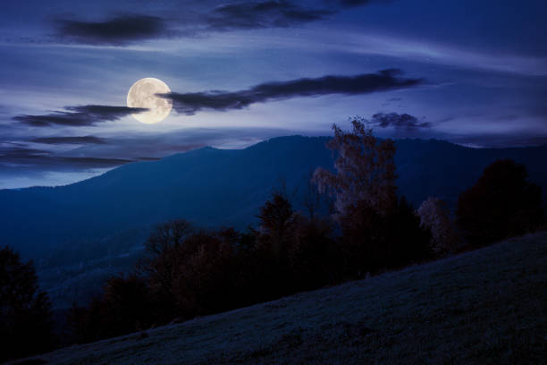 istock autumnal rural landscape at night 1255172351