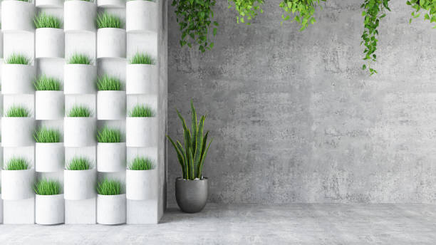 istock Empty Modern Living Room with Concrete Wall and Plants 1255172962