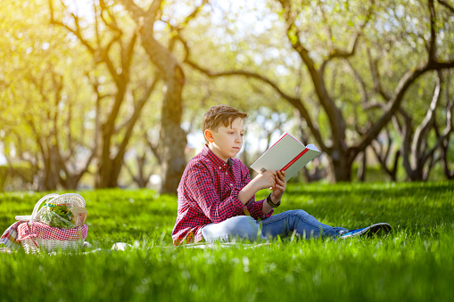 Teenage boy reading book at picnic at public park
