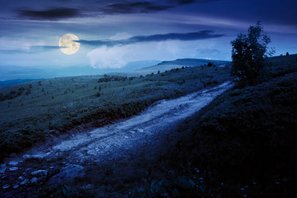 istock mountain road through grassy meadow at night 1255173298