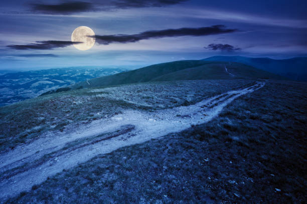 istock mountain road through grassy meadow at night 1255173609