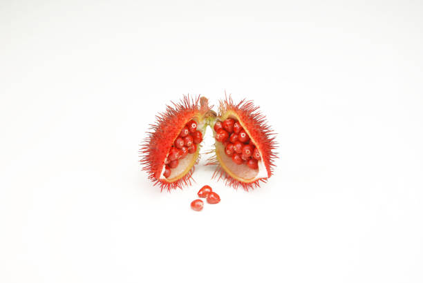 One Urucum in isolated in white background