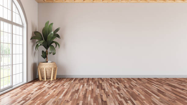 sala de estar moderna vacía con pared blanca y planta - sparse floor domestic room apartment fotografías e imágenes de stock