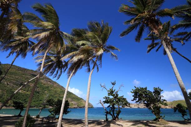 istock Guadeloupe - The Saints 1255175509
