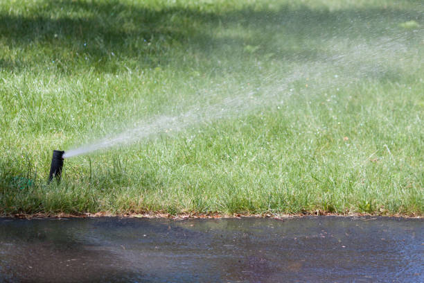 istock Automatic sprinkler watering in the garden or park. 1255175635