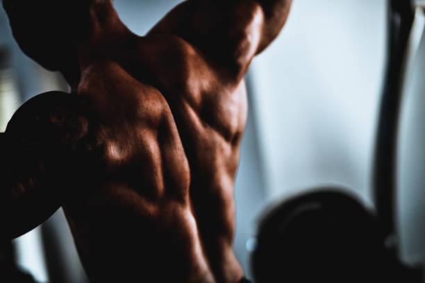 Male Bodybuilder Showing Back Muscles In Gym
