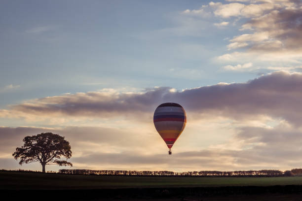 istock Air balloon and lonely tree on horizon 1255180485