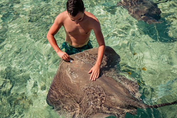 istock happy young man swimming with Stingray in ocean 1255180650