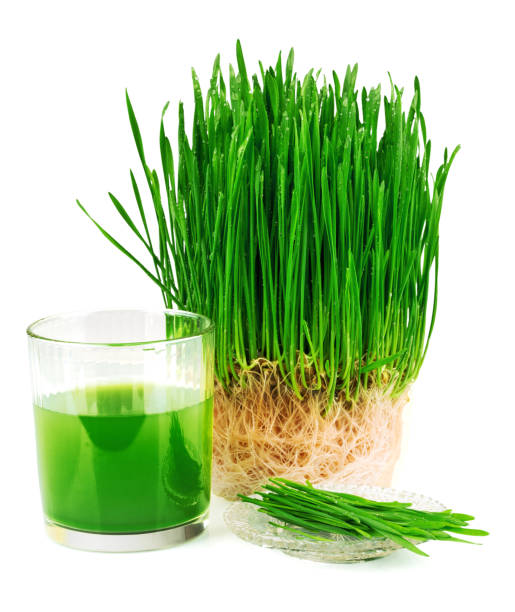 weizengrassaft mit gekeimtem weizen und weizenkeimöl auf der matte - wheatgrass stock-fotos und bilder