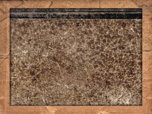 istock Old vintage texture with retro paper background 1255181649