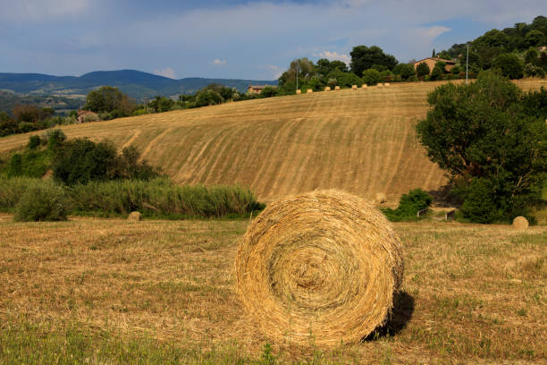 istock Orvieto, Terni, Umbria, Italy. 1255183654