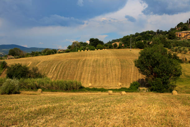 istock Orvieto, Terni, Umbria, Italy. 1255183727