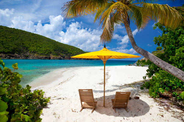 istock Palm tree on remote tropical beach, Hans lollik 1255184940